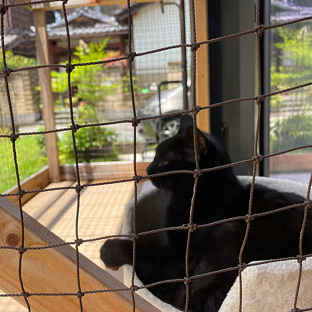 taakoさんの部屋