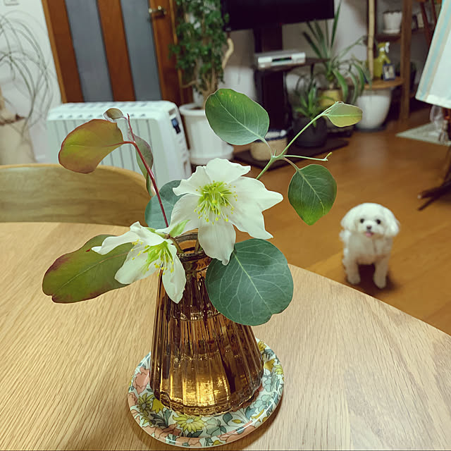 ponyoさんの実例写真
