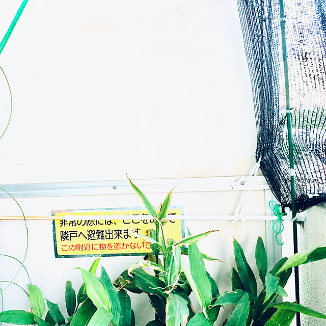 hanachanさんの部屋