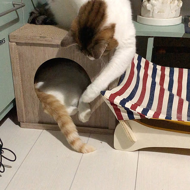 arayanさんの部屋