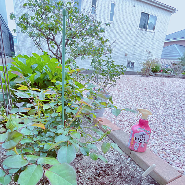 moolさんの部屋