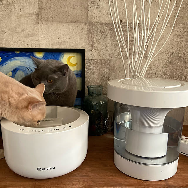 良い時間を過ごす/くらしのリズムを整える/ウェルビーイング/RHYTHM/加湿器...などのインテリア実例 - 2022-10-29 12:45:49