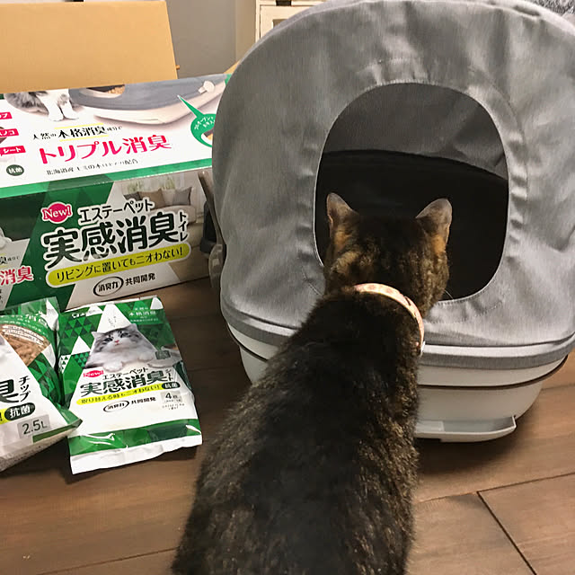 ayataroさんの実例写真