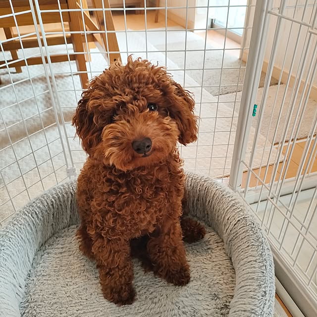 teamoさんの部屋