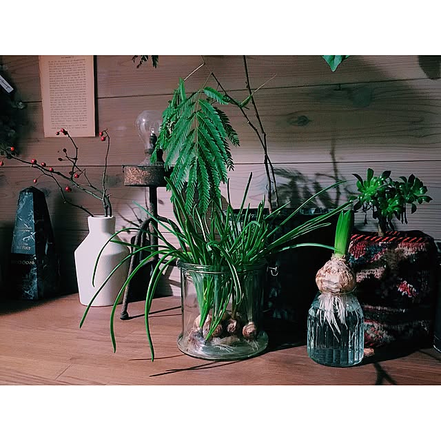jennyさんの実例写真