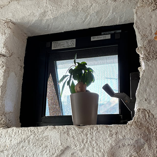 bu-bu-chanさんの部屋