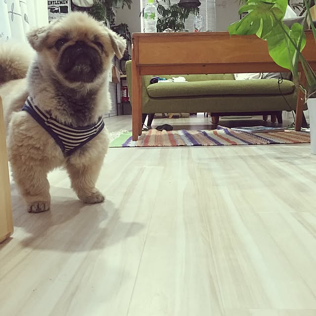 Eijiさんの実例写真