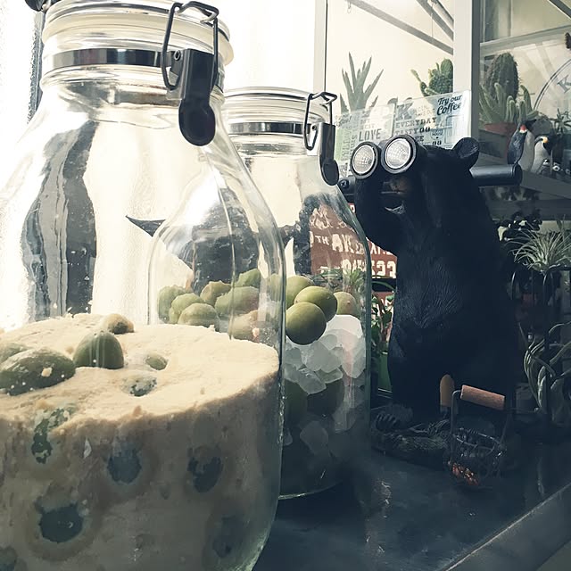 onokenkoさんの実例写真