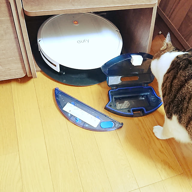 nachiさんの実例写真