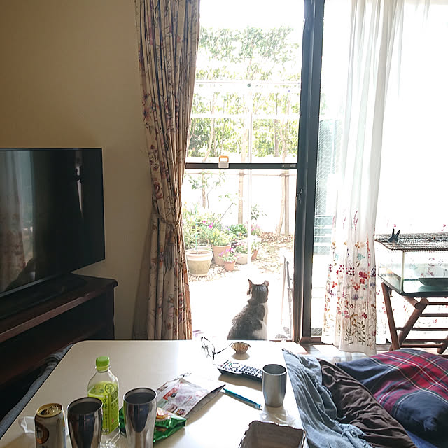 okyosan101さんの実例写真