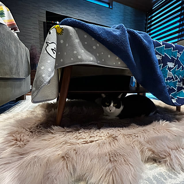 porinさんの部屋