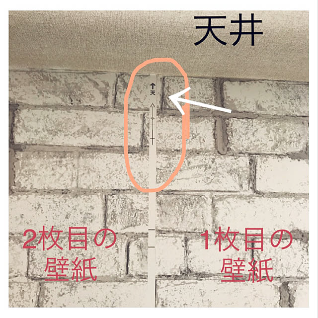 noikoさんの実例写真