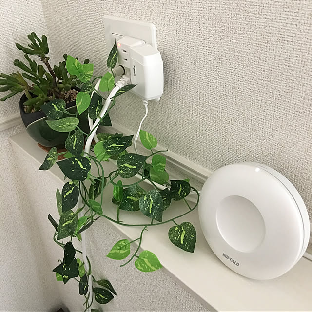 Rabitterさんの実例写真