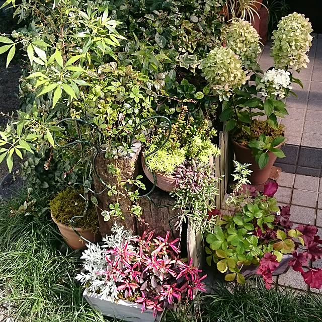 runaさんの実例写真