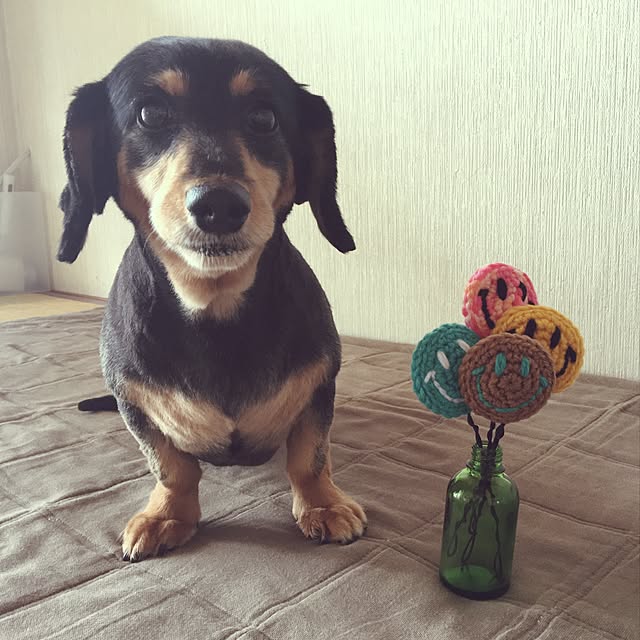 ohanaさんの実例写真