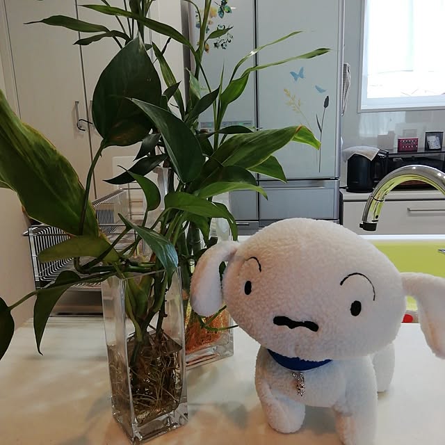 syomiさんの実例写真