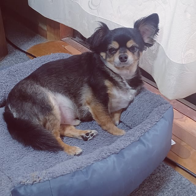 hiro.904さんの部屋