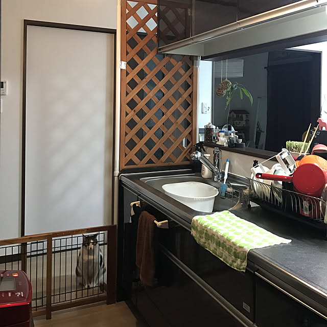 Nobukoさんの実例写真