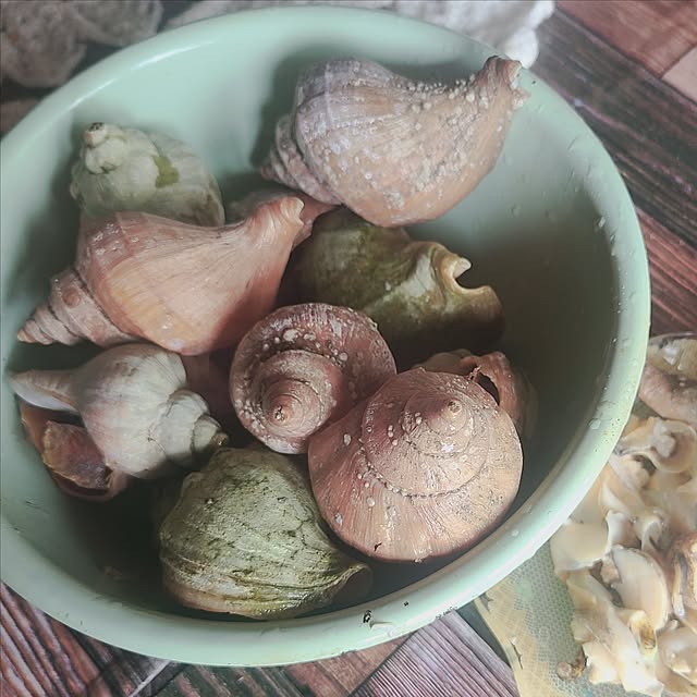 monnさんの部屋