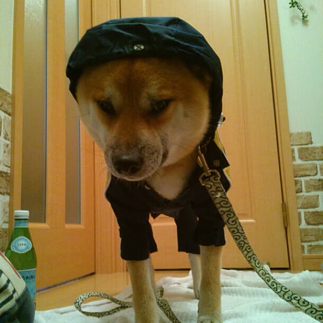 kotaさんの実例写真
