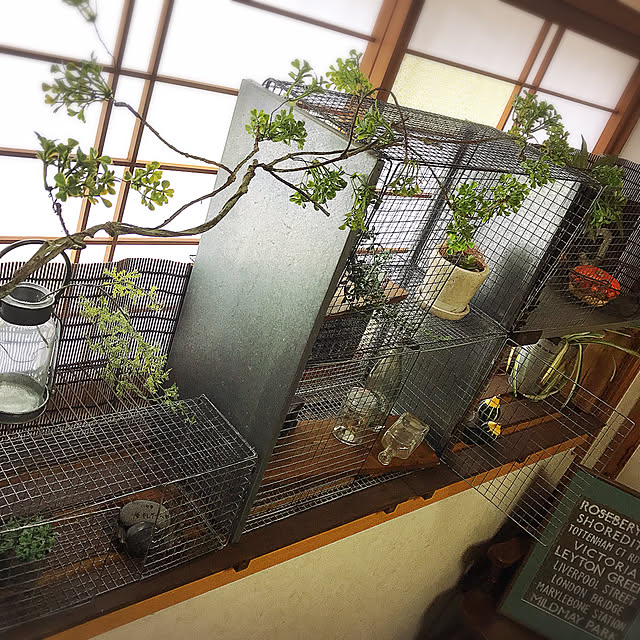 cocoa.さんの実例写真
