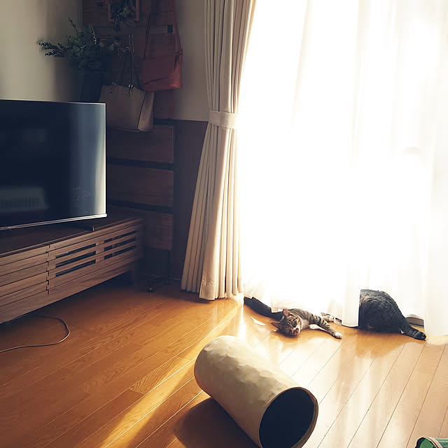 nachiさんの実例写真