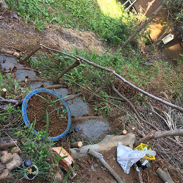 sasaさんの実例写真