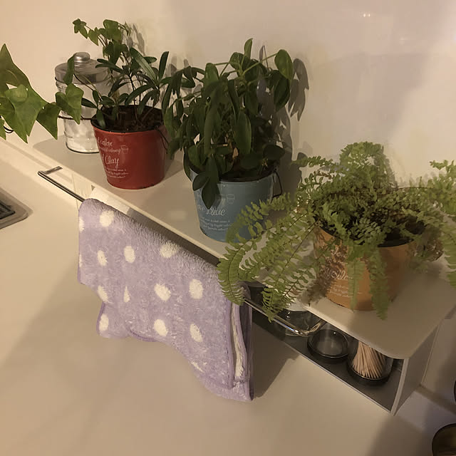観葉植物/ナチュラル/DIY/リノベーション/カフェ風...などのインテリア実例 - 2019-10-22 23:13:21