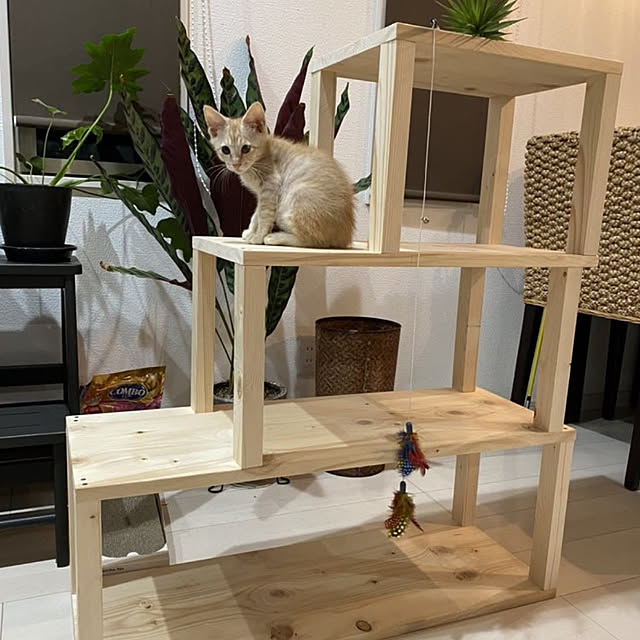Maamiさんの実例写真