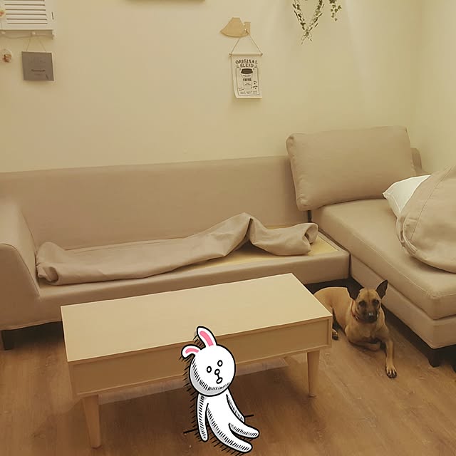 hahamiya365さんの実例写真