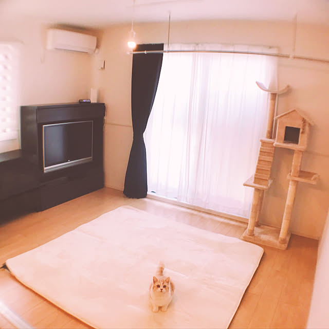 H.Tさんの実例写真
