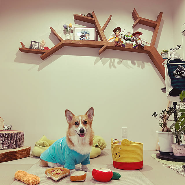chiさんの実例写真