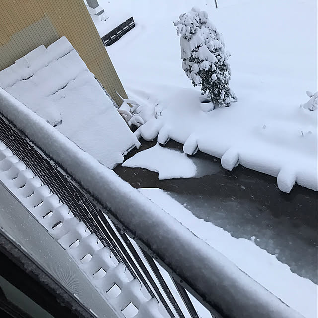 aoinokimiさんの実例写真