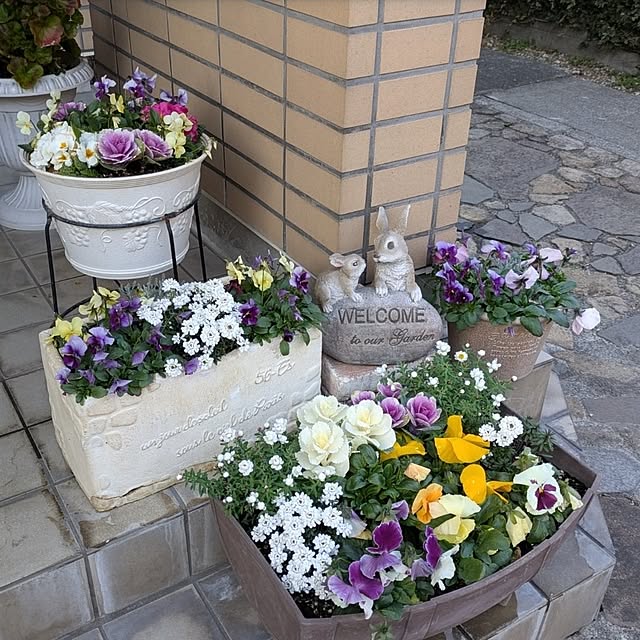 ku-garnet18さんの実例写真