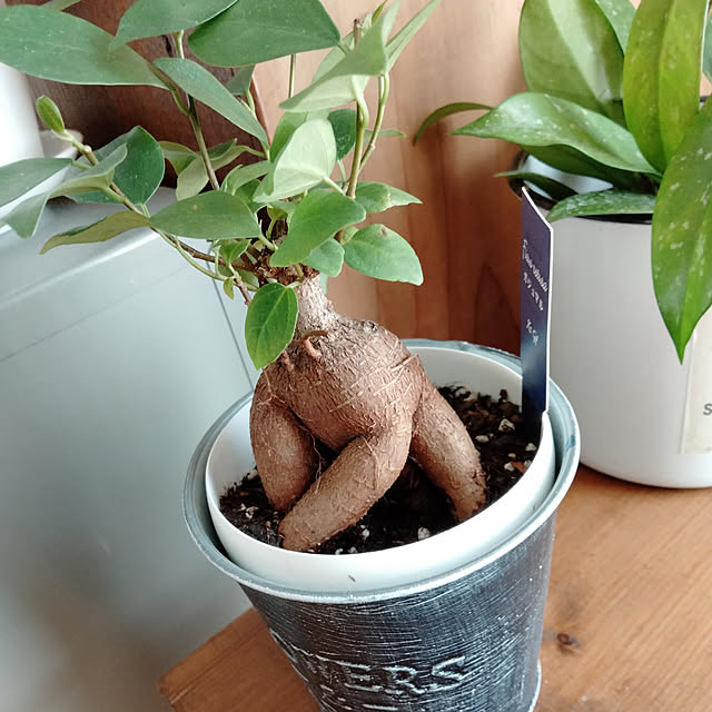 marioさんの実例写真