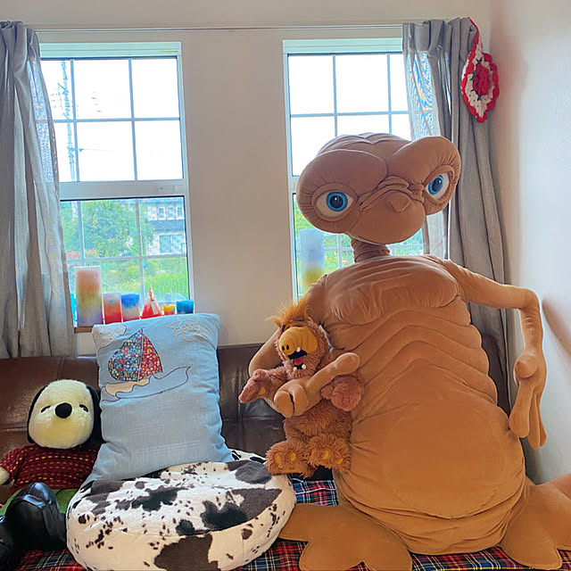 実例写真