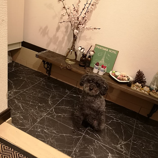 taitanさんの実例写真