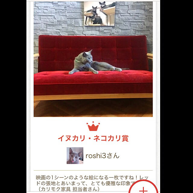 roshi3さんの実例写真