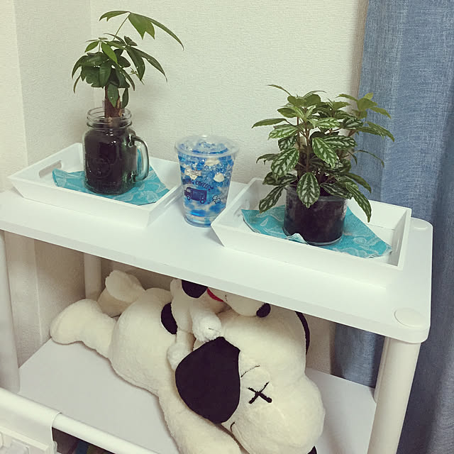 tomさんの実例写真