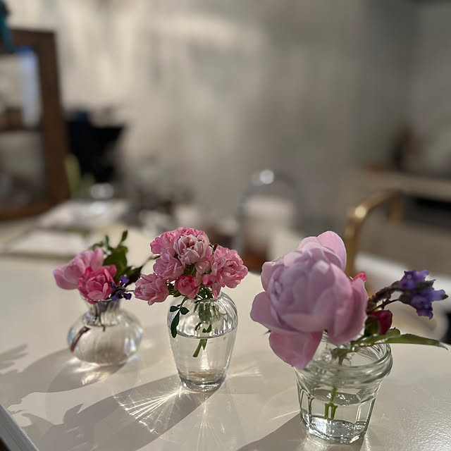 sakuraさんの部屋