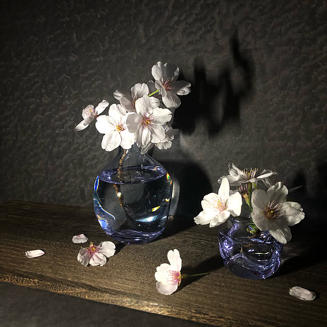 Mitsuさんの実例写真