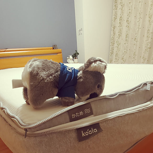 go-chanさんの実例写真