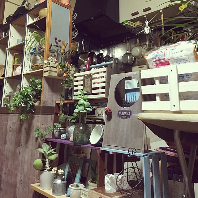 Norikoさんの実例写真