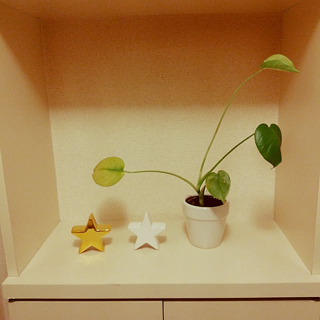 10さんの実例写真