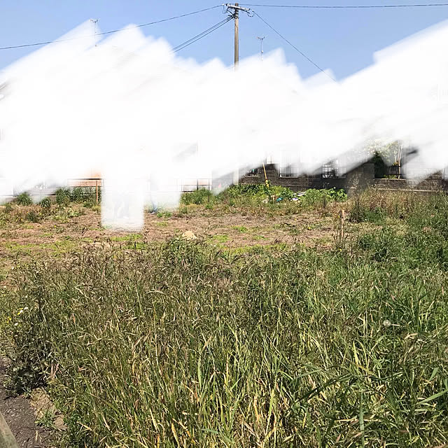 Nichika14さんの実例写真