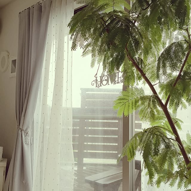 Rさんの実例写真