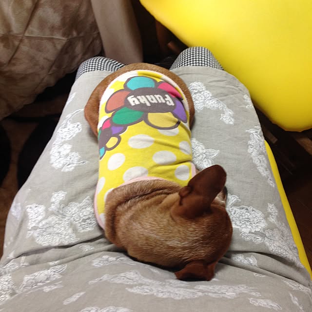 kanmiさんの実例写真