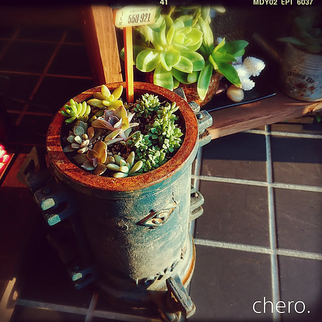 chero.さんの実例写真