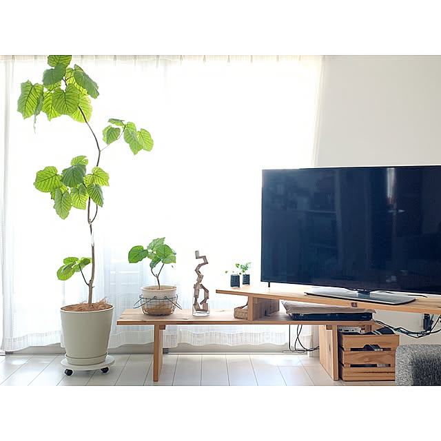 mayuringoさんの実例写真