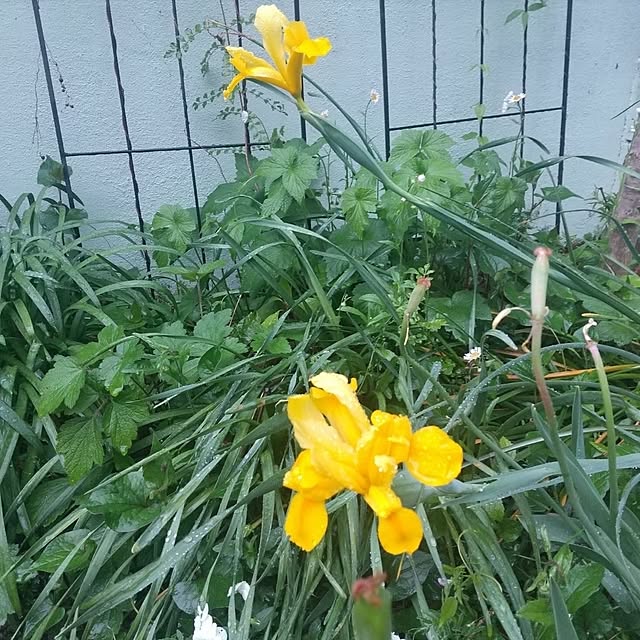 Rさんの部屋